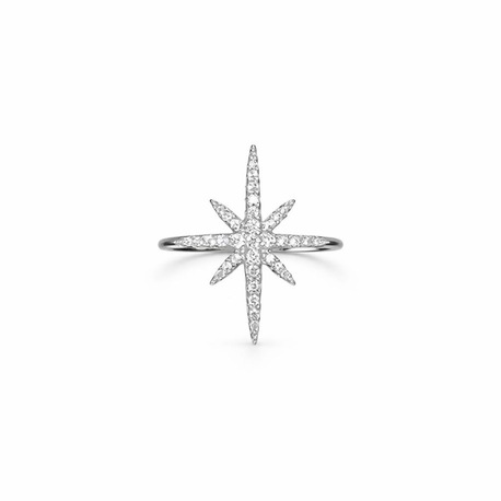 Işıltılı Kuzey Yıldızı Model Yüzük