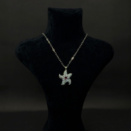 Zarif Deniz Yıldızı Tasarımlı Taşlı Kolye